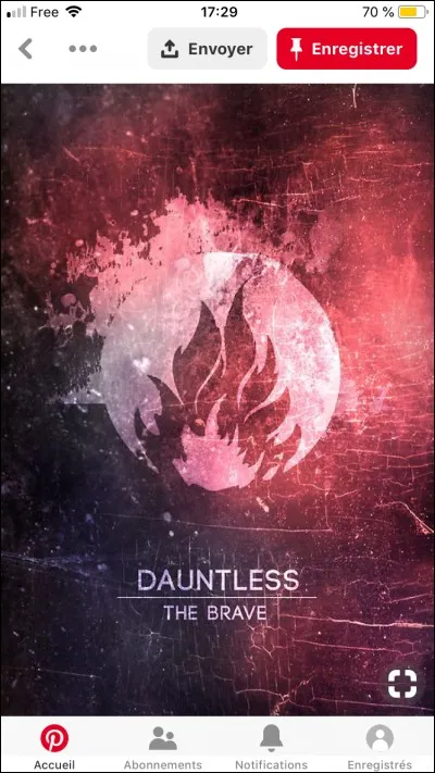 Quelle est la couleur symbolique des "Audacieux" ? Le ...