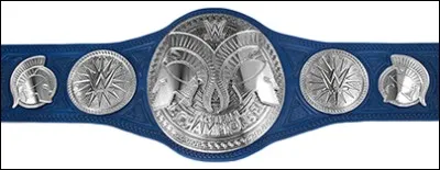 Quelle est cette ceinture ?