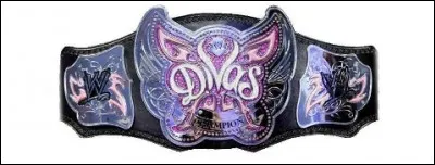 Quelle est cette ceinture ?