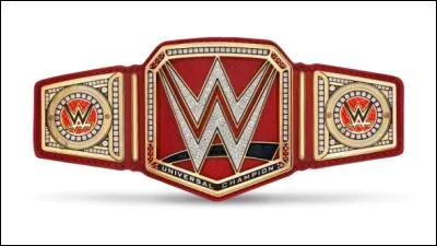 Quelle est cette ceinture ?