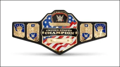 Quelle est cette ceinture ?