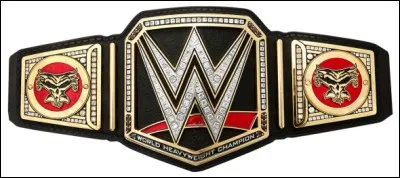 Quelle est cette ceinture ?