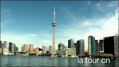 Quelle est la taille de la Tour CN ?