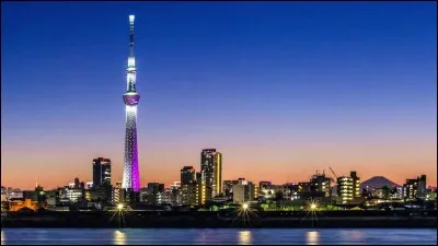 Quelle est la taille du Tokyo Skytree ?