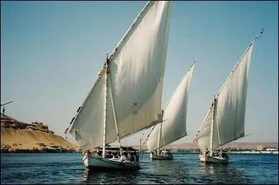 Quels petits voiliers lgers et troits  rames naviguent sur le Nil ?