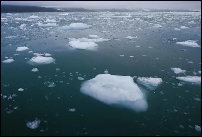 Quel est l'océan le petit et quels pays y ont accès ?