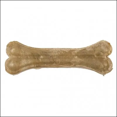 Quel est le plus petit os du corps humain ?