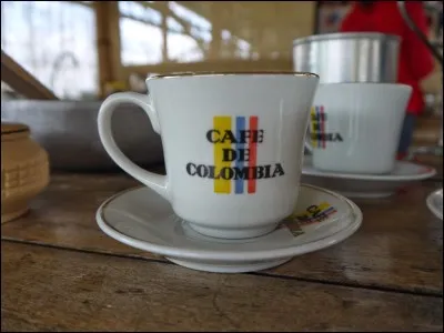 La franco-colombienne Ingrid Betancourt, née le 25 décembre 1961, fut enlevée par les Farc alors qu'elle faisait campagne pour...