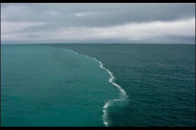 C'est la preuve que lorsque les eaux de deux océans se rencontrent, ils ne se mélangent pas toujours : c'est comme si une barrière invisible les séparait ou une barrière à notre compréhension du phénomène. Nommez le nom de celui que l'on voit :