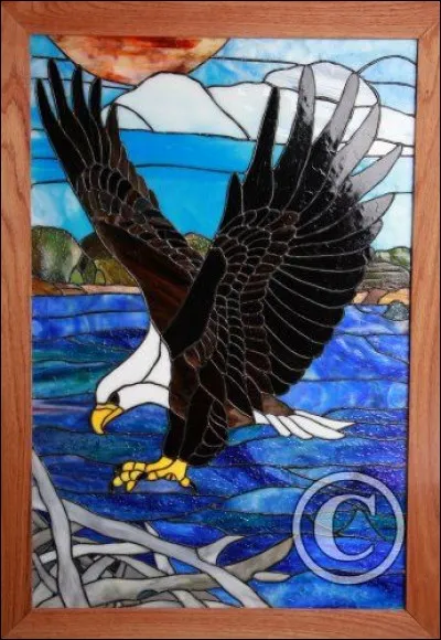 L'aigle a perdu sa maison !