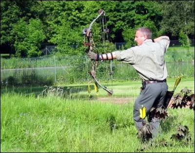 Il est préférable d'en avoir plusieurs !