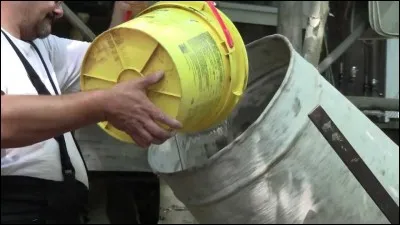 C'est souvent à son pied qu'on le voit !