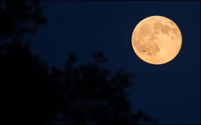 La Lune est un astre mort.