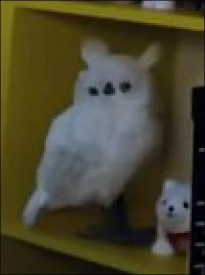 Comment s'appelle son hibou ?