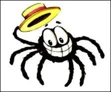 Comment s'appelle l'araigne qui monte  la gouttire et qui tombe quand vient la pluie ?