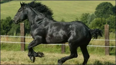 Es-tu de grande taille ?