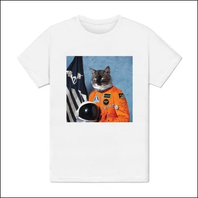 Le roi capétien Louis IX, dit Saint Louis, qui régna de 1226 à 1270, fut un ardent défenseur de la chrétienté.
À quelle occasion trouva-t-il la mort ?