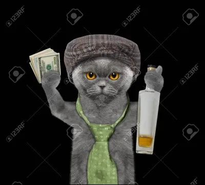 Selon l'adage, la nuit, tous les chats sont...