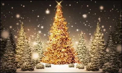 Noël c'est aussi la fête des sapins. Quand cette tradition est-elle apparue en Europe ?