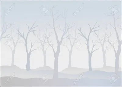 En espagnol c'est "niebla", et en anglais ?