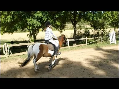 Une puissance à shetland monte jusqu'à :