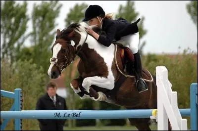 Quelle est l'hauteur du record du monde de CSO ?