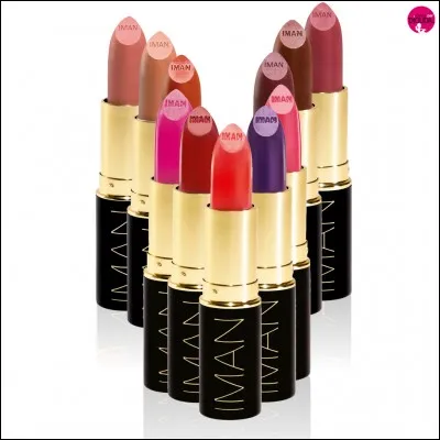 Qu'est-ce sur l'image ?