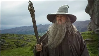 Peter Jackson réalise 3 films basé sur un livre, puis plus tard il réalisera 3 autres films se déroulant avant mais toujours basé sur un livre. Quel est le film qu'il a réalisé en premier ?