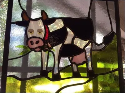 La vache a égaré sa fille qui n'a que 6 mois, aidez-la à la retrouver !