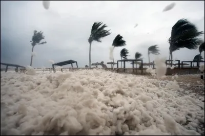 Il n'y a jamais de cyclones en _____.