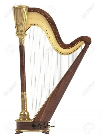 Quel est cet instrument ?
