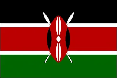 De quel pays est ce drapeau ?