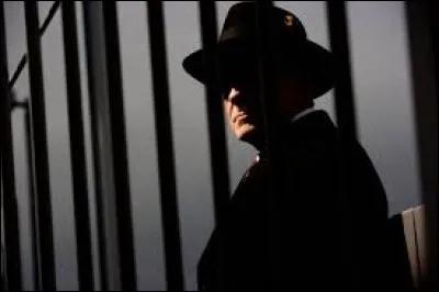 Je me souviens que les Platters furent impliqu&eacute;s dans une affaire de drogue, et aussi que le bruit courut que Dalida &eacute;tait un agent...