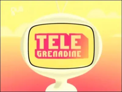 Quel était le principe du bloc "Télé Grenadine" ?