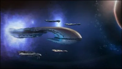 Les formes utilisées dans l'architecture covenante proviennent principalement de la culture de quelle espèce de l'Alliance ?