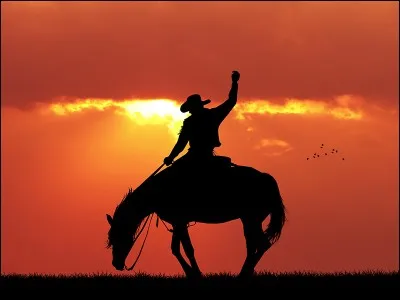Qu'est-ce qu'un cow-boy ?