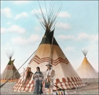 Les tipis indiens étaient construits à partir de bois et de... ?