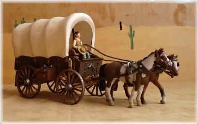 Comment s'appelait le moyen de transport des pionniers blancs qui se portaient à la conquête des terres de l'Ouest ?