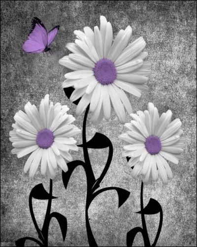 Que vous dit la marguerite, avant de vous dire "pas du tout" ?