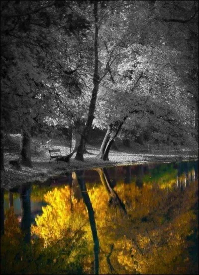 Qui a écrit "Un peu de soleil dans l'eau froide" ?