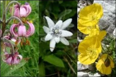 L'eau de mer ou de pluie s'évacue par ce trou percé dans une embarcation.