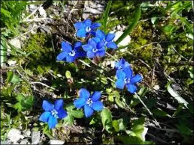 On passe devant cette personne pour se marier civilement.