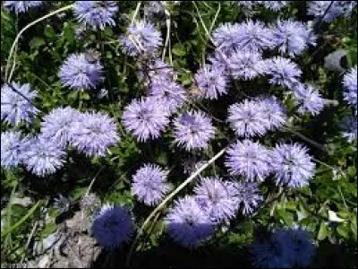 Paréo en Nouvelle-Calédonie :