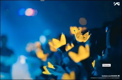 Quel nom ont leurs fans ?