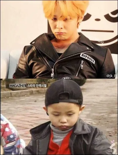 Quel membre a commencé sa carrière musicale en 1995 ?