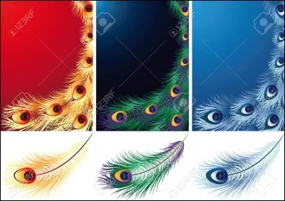 Je tiens tête aux plumes d'un phnix, je suis...