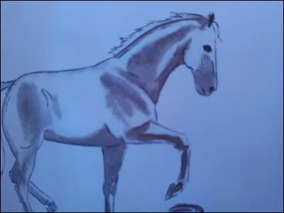 Que fait le cheval ?