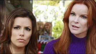 Saison 6 : Que vient d'apprendre Bree ?