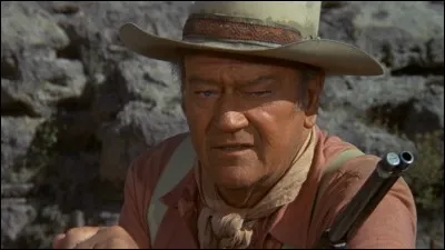 Un John Wayne vieillissant part sur les traces des ravisseurs de son petit-fils qu'il ne connaît même pas. Trouvez le titre.