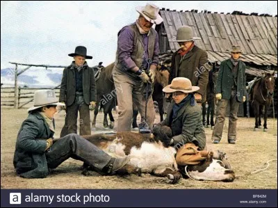 John Wayne, presque son dernier film : Les Cow Boys.
Un éleveur embauche une bande de gamins pour conduire un troupeau car tous les adultes sont partis à la recherche d'or. Quelle est la particularité du film ?